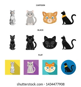 Vector illustration of pet and sphynx icon. Set of pet and fun stock vector illustration.