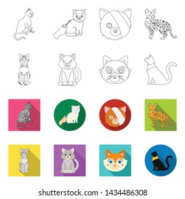 Vector illustration of pet and sphynx icon. Set of pet and fun stock symbol for web.