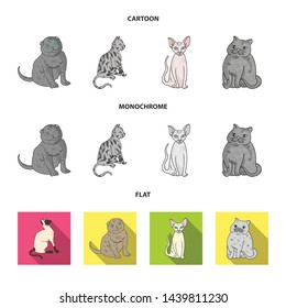 Vector illustration of pet and sphynx logo. Collection of pet and fun stock symbol for web.