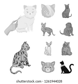 Vector illustration of pet and sphynx symbol. Set of pet and fun stock symbol for web.