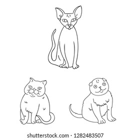 Vector illustration of pet and sphynx symbol. Set of pet and fun stock vector illustration.