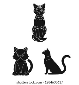 Vector illustration of pet and sphynx symbol. Set of pet and fun stock vector illustration.