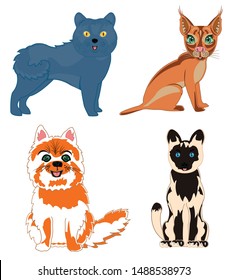 Vector illustration pets cat of the varied sorts