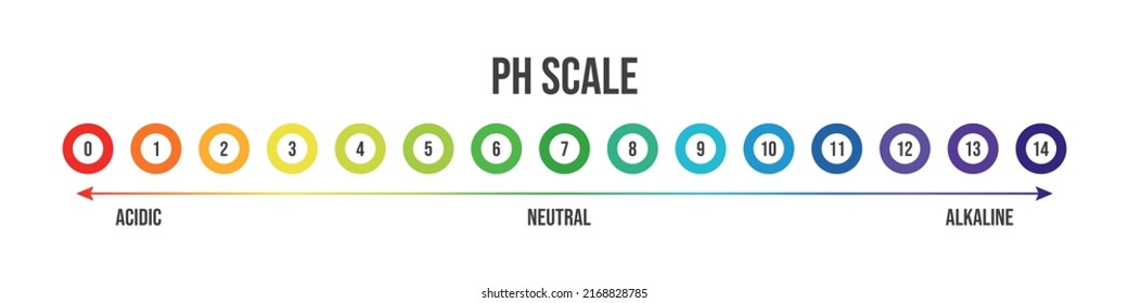 Vector illustration of pH scale isolated on white background. Color pH value scale chart meter infographic. Litmus paper indicator for acid-alkaline solution. 