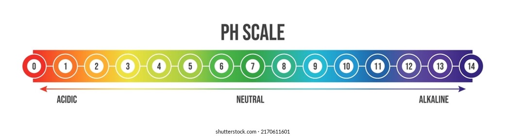 Vector illustration of pH scale isolated on white background. Color pH value scale chart meter infographic. Litmus paper indicator for acid-alkaline solution. 
