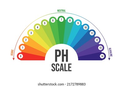 Vector illustration of pH scale isolated on white background. Color pH value scale chart meter infographic. Litmus paper indicator for acid-alkaline solution. 