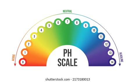 Vector illustration of pH scale isolated on white background. Color pH value scale chart meter infographic. Litmus paper indicator for acid-alkaline solution. 
