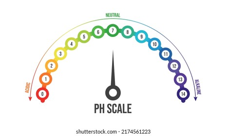 Vector illustration of pH scale isolated on white background. Color pH value scale chart meter infographic. Litmus paper indicator for acid-alkaline solution. 