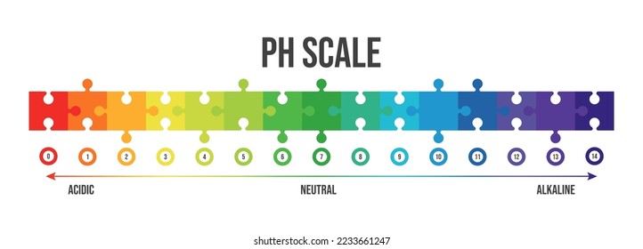 Ilustración vectorial de la escala de pH aislada en fondo blanco. infografía del medidor del gráfico de escala de valores de pH de color. Indicador de papel de limo para solución ácido alcalino. 