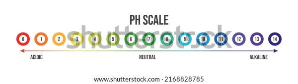 Vector illustration of pH scale\
isolated on white background. Color pH value scale chart meter\
infographic. Litmus paper indicator for acid-alkaline solution.\
