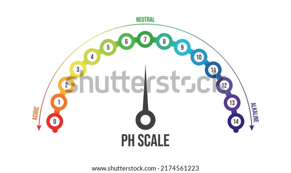 Vector illustration of pH scale
isolated on white background. Color pH value scale chart meter
infographic. Litmus paper indicator for acid-alkaline solution.
