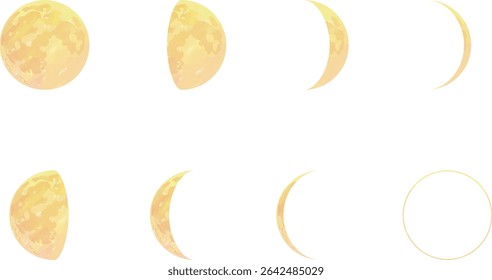 Ilustração vetorial das fases da lua. Ciclo lunar sobre fundo branco.