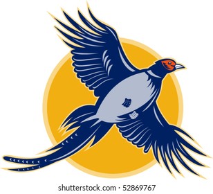 vector illustration of a pheasant bird flying viewed from low angle.