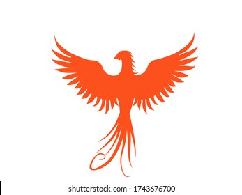 vector illustration of a Phoenix 