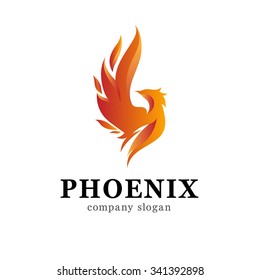 Vector illustration of phoenix. Modern logo idea.