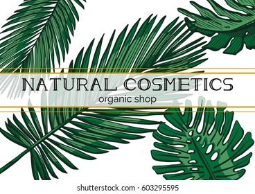 Vector illustration of phoenix palm and monstera leaves composition with a stripe for text, contoured by golden lines. Natural cosmetics, organic shop inscriptions. Tropical plants floral background.