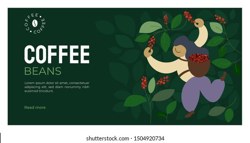 Vector illustration of picker is harvesting ripe red berries of coffee from branches of trees. Coffee beans template for farmer, roasters company. Design for banner, web, layout, prints, online store.