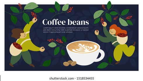 Vector illustration of pickers are harvesting ripe red berries of coffee. Cup of cappuccino, roasted coffee beans. Template for farmer, roasters company. Design for banner, book, flyer, print, poster.