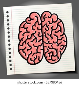 Vector illustration picture of the brain on a sheet of paper