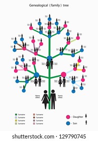 Vector illustration with a picture of the genealogical family tree