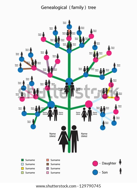 Vector Illustration Picture Genealogical Family Tree Stock Vector ...