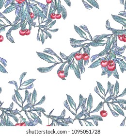 Vector illustration. The picture is made on a digital graphic tablet. Seamless pattern of a branch with cherries on a white background.