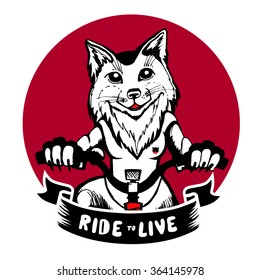 Vector illustration picture on a T-shirt, pretty good fox cycling gloves smiling, riding a bike, traveling. Logo for cycling, bike shop, cycling marathon. ride to live. Black and white pencil schedule