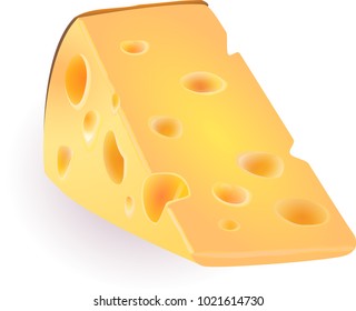vector illustration piece of cheese on isolated background