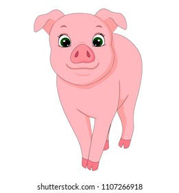 vector illustration of pig