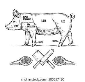 1,282 Pig etched Images, Stock Photos & Vectors | Shutterstock