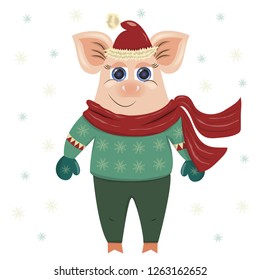 Vector illustration of a pig boy in winter clothes, sweater, scarf, hat, mittens, trousers. Symbol of 2019. Smiles, looks, good mood. Christmas and new year picture. For registration of cards, clothes