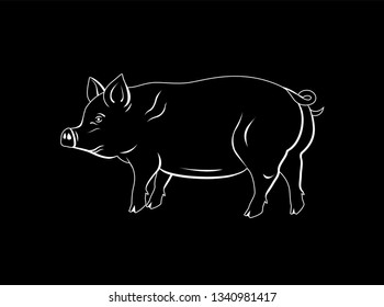 Vector illustration of a pig in chalk style