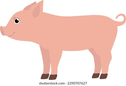 Vector illustration of pig character in cartoon style