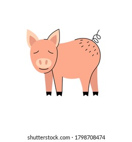 Vector illustration of a pig. Farm pig. Pink pig