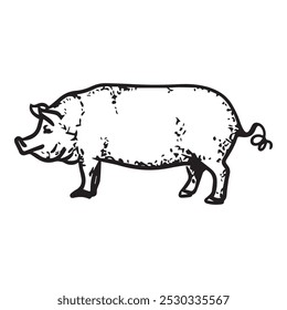 Vector illustration pig graphic design,art tattoo sketch,use in print,hand drawing