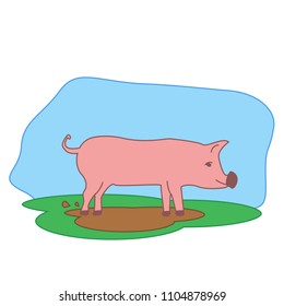 Vector illustration of pig in the mud on the field
