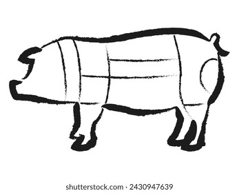 Vector illustration of pig parts