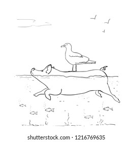 Vector illustration of a pig swimming in the sea, Seagull standing on a pig, pig island, linear design