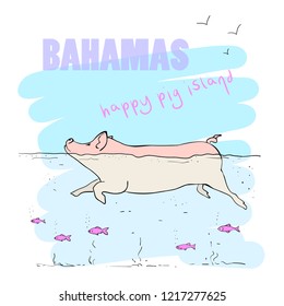 Vector illustration of a pig swimming in the sea,  pig island, cartoon design