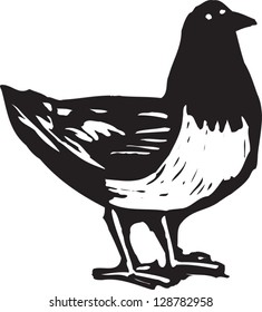 Vector illustration of a pigeon