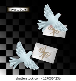 Vector illustration of a pigeon bird dove flying with a letter tied with a braid isolated on a transparent background