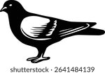 vector illustration of a Pigeon Bird on transparent background
