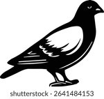 vector illustration of a Pigeon Bird on transparent background