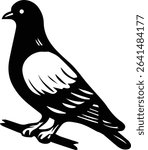 vector illustration of a Pigeon Bird on transparent background