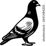 vector illustration of a Pigeon Bird on transparent background