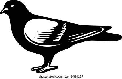 vector illustration of a Pigeon Bird on transparent background