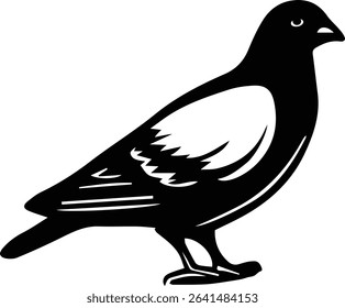 vector illustration of a Pigeon Bird on transparent background