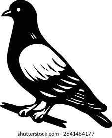 vector illustration of a Pigeon Bird on transparent background