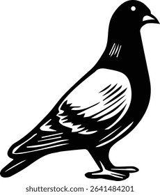 vector illustration of a Pigeon Bird on transparent background