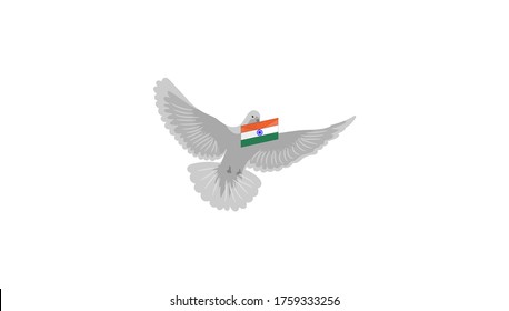Vector Illustration of pigeon or dove with saffron and green color indian flag. Happy Independence Day celebration 15th august theme.
